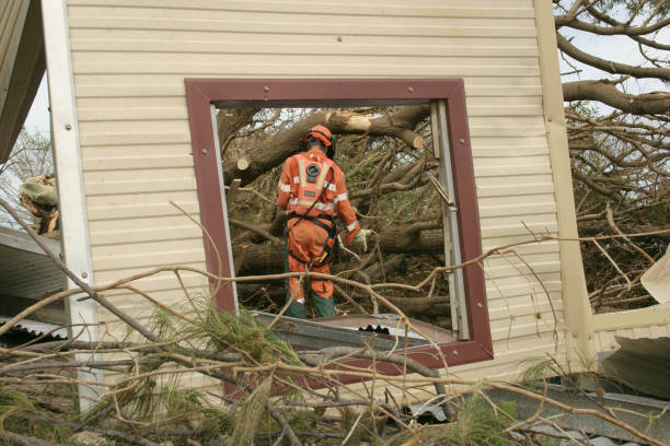 Professional Tree Care Services in Mckinleyville, CA